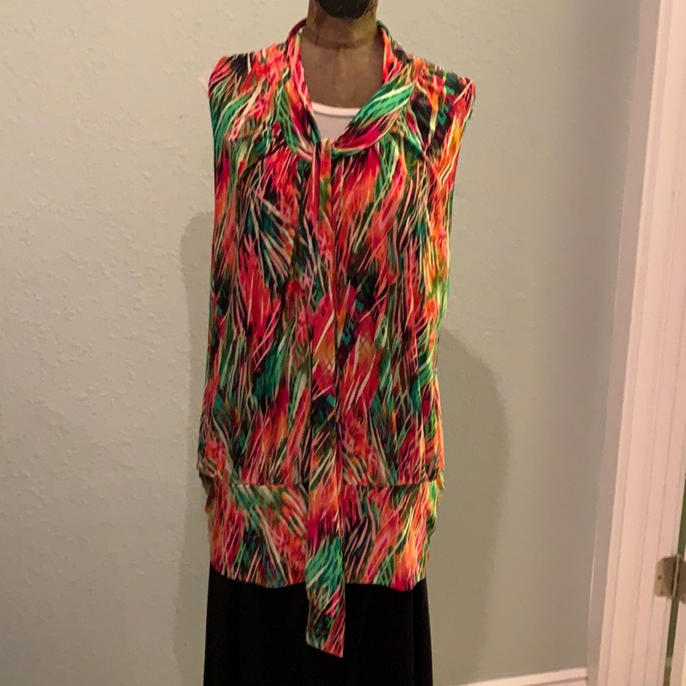 Awesome Jewel Tone Sleeveless Blouson Tunic